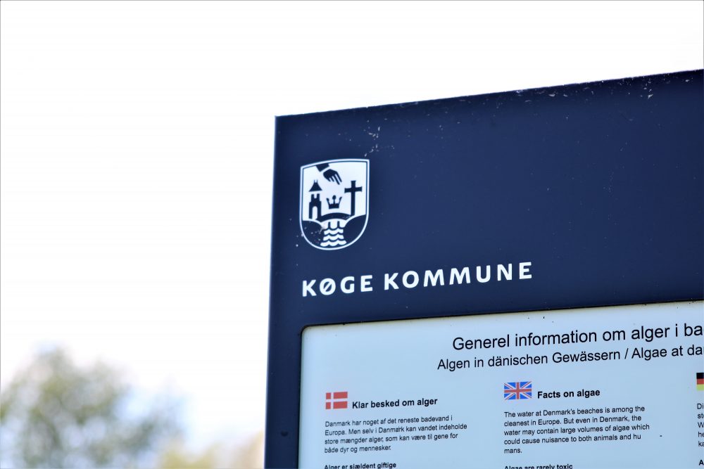 Ny foreningsportal skal være nem at arbejde med - hjælp Køge Kommune med idéer