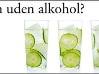 Prøv gin uden alkohol