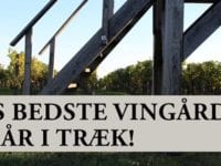 Østrigs bedste vingård, foto: Holte Vinlager