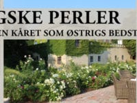 Østriske Perler fra Holte Vinlager