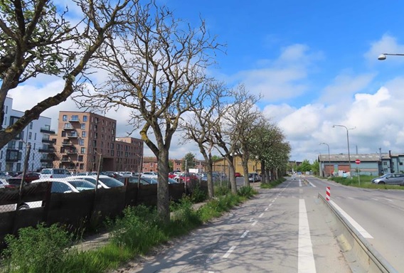 Pressemeddelelse: Udgåede træer på Søndre Havn genbruges i ny lommepark