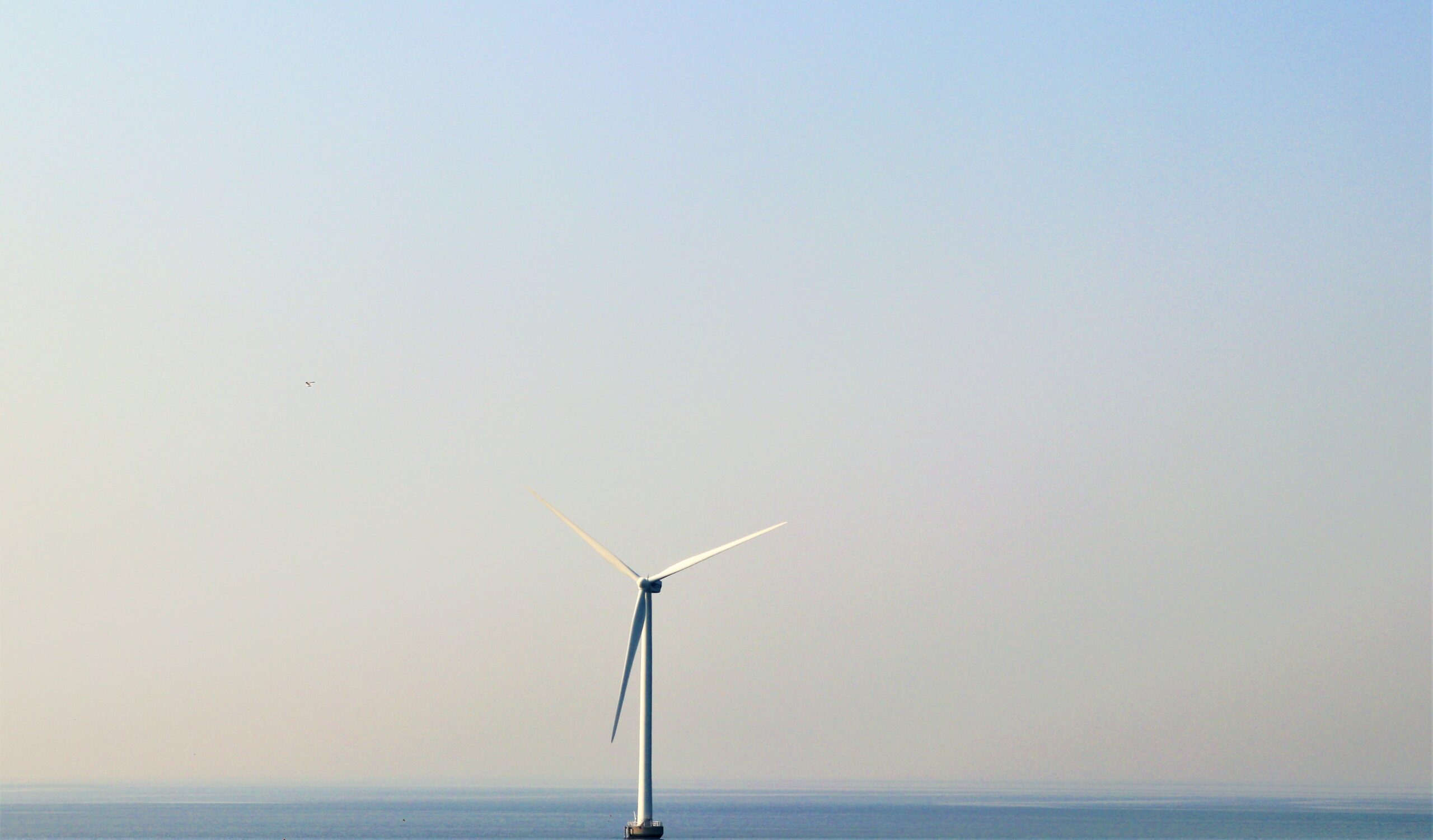 HOFOR vindmølle-projekt skaber jobs og havneudvidelse i Køge